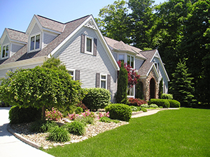 Tree Removal Or Pruning